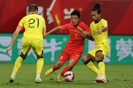 杨佳敏略显